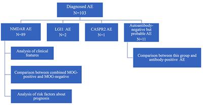 Pediatric Autoimmune Encephalitis: Case Series From Two Chinese Tertiary Pediatric Neurology Centers